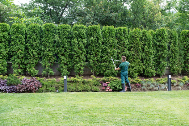 Best Tree Preservation Services  in Cresskill, NJ