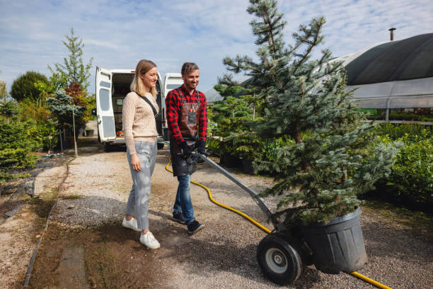 Best Tree and Shrub Care  in Cresskill, NJ